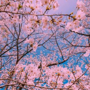 دانلود اهنگ وطن درد داره وطن پاره پاره بگو ای خدا جون که بارون بباره